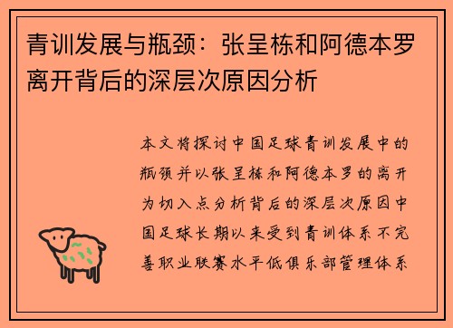 青训发展与瓶颈：张呈栋和阿德本罗离开背后的深层次原因分析