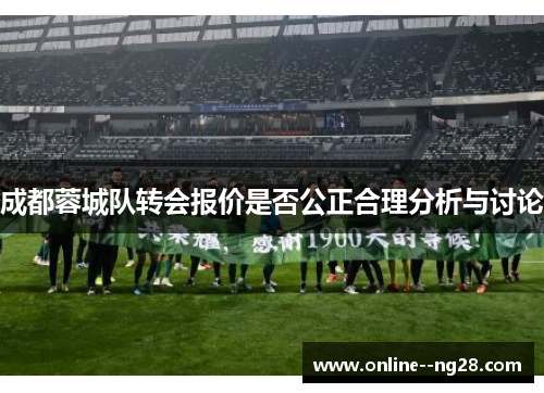 成都蓉城队转会报价是否公正合理分析与讨论