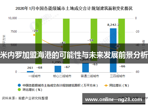 米内罗加盟海港的可能性与未来发展前景分析
